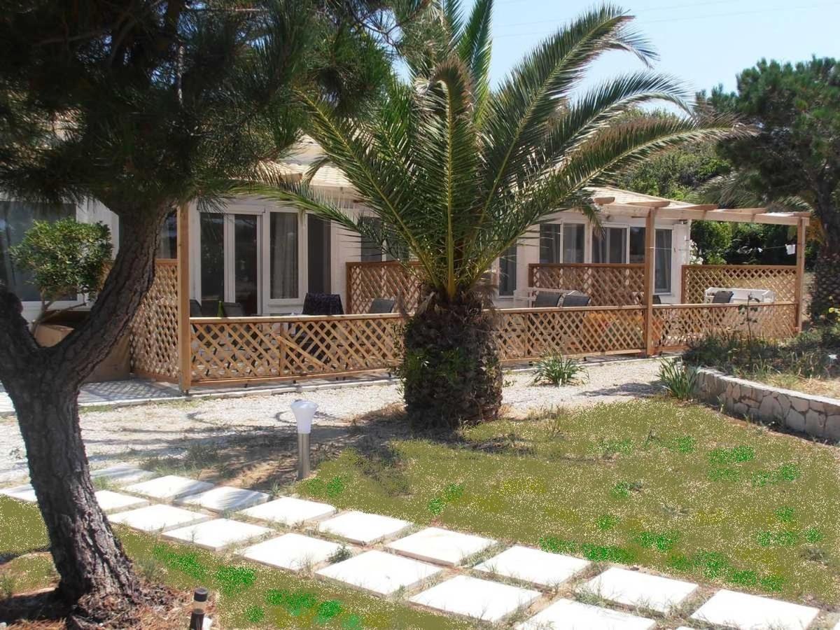 Elli Beach Apartments And Studios Almiros Beach 外观 照片