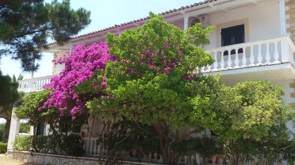 Elli Beach Apartments And Studios Almiros Beach 外观 照片