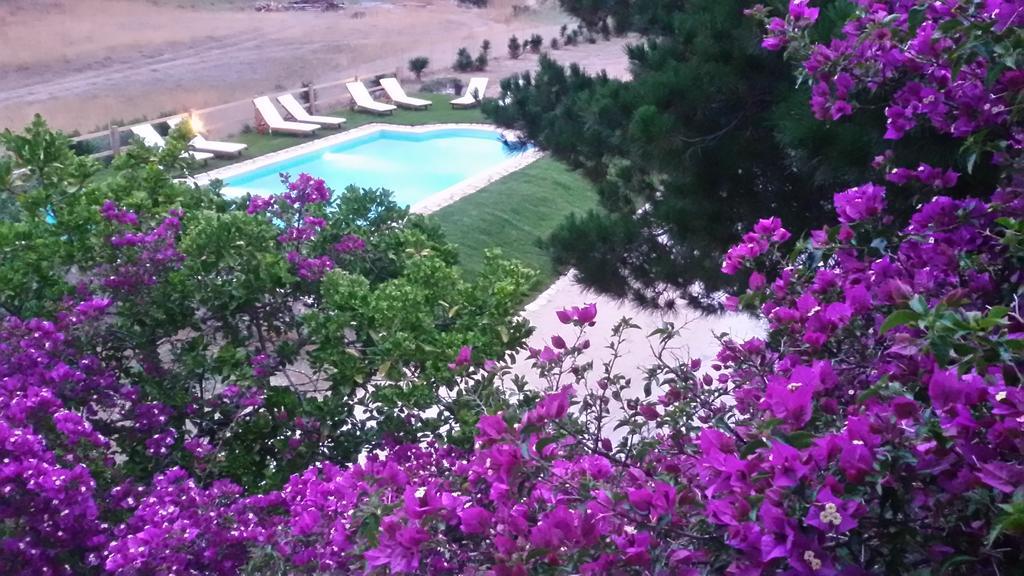 Elli Beach Apartments And Studios Almiros Beach 客房 照片